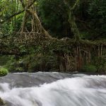কমিউনিটি বেজড ট্যুরিজম