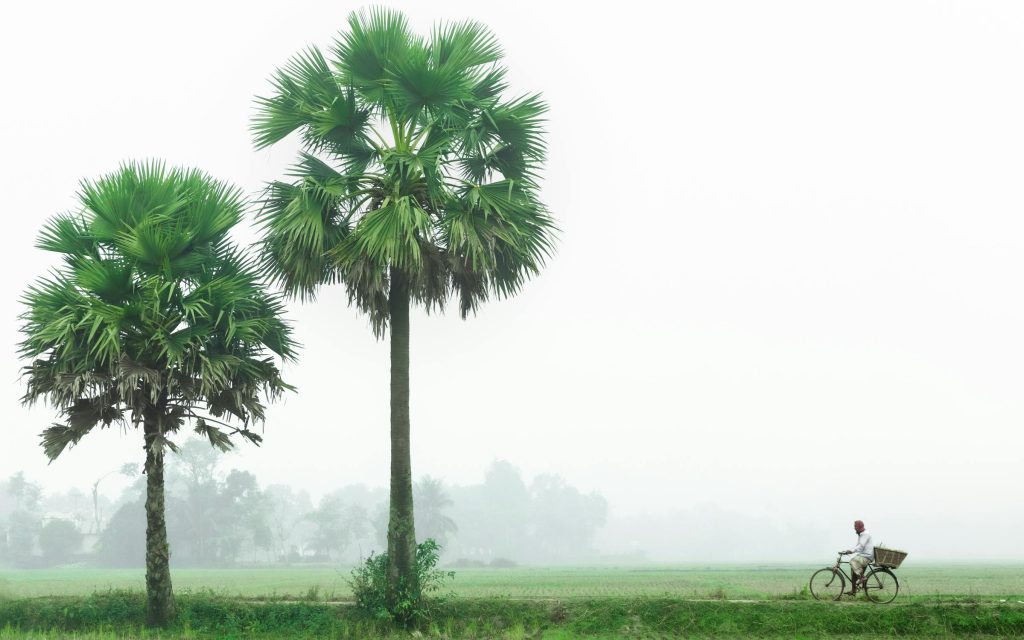 বাংলাদেশের পর্যটন: সমস্যা, ভুল নীতি, চ্যালেঞ্জ ও উত্তরণ