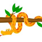 সাপ সম্পর্কে ভুল ধারণা শুধরে নিন