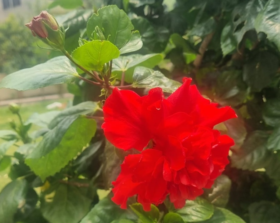সফলদের ১১ কর্মপদ্ধতি