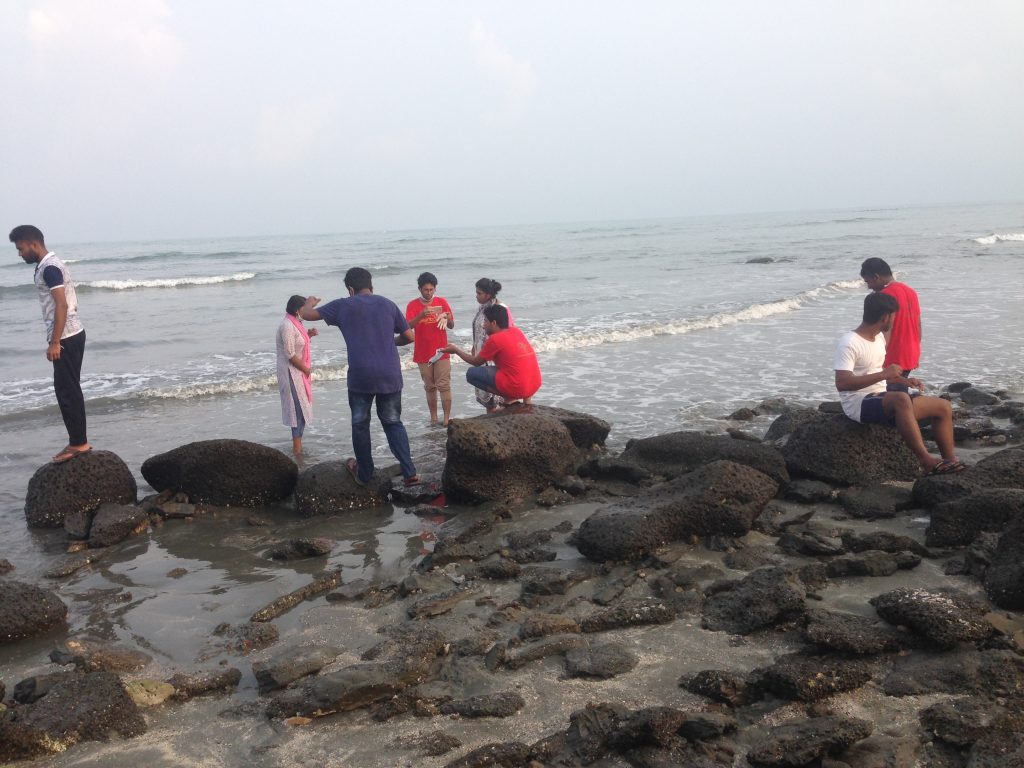 জলবায়ু পরিবর্তন জনিত ঝূঁকি মোকাবেলায় বিভিন্ন দেশের উদ্যোগ