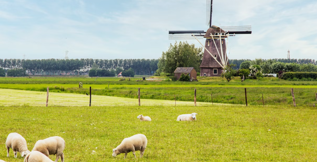 Land