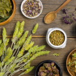 Traditional European Medicine (TEM), বা পশ্চিমা ঐতিহ্যবাহী চিকিৎসা পদ্ধতি