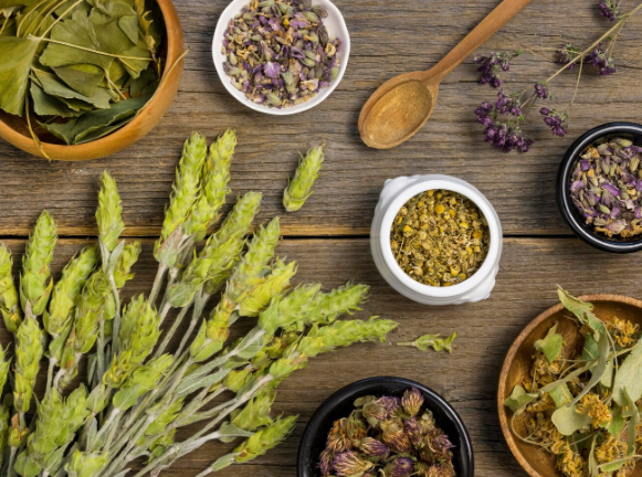 Traditional European Medicine (TEM), বা পশ্চিমা ঐতিহ্যবাহী চিকিৎসা পদ্ধতি