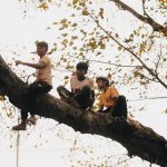 children, Asia, Tree Fun, Childhood