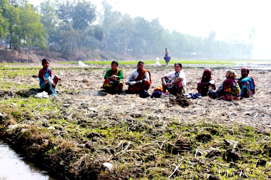 Bangladesh, Thakurgaon, West Bengal, Land Labour