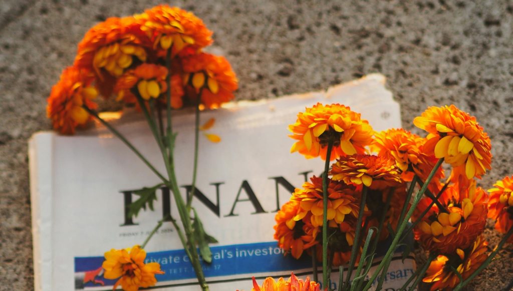yellow, yes, Flower, paper, Finuncial